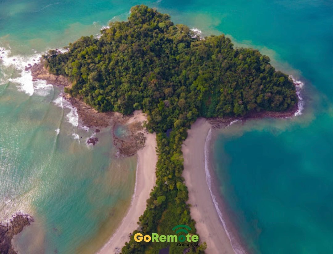 case study featured image