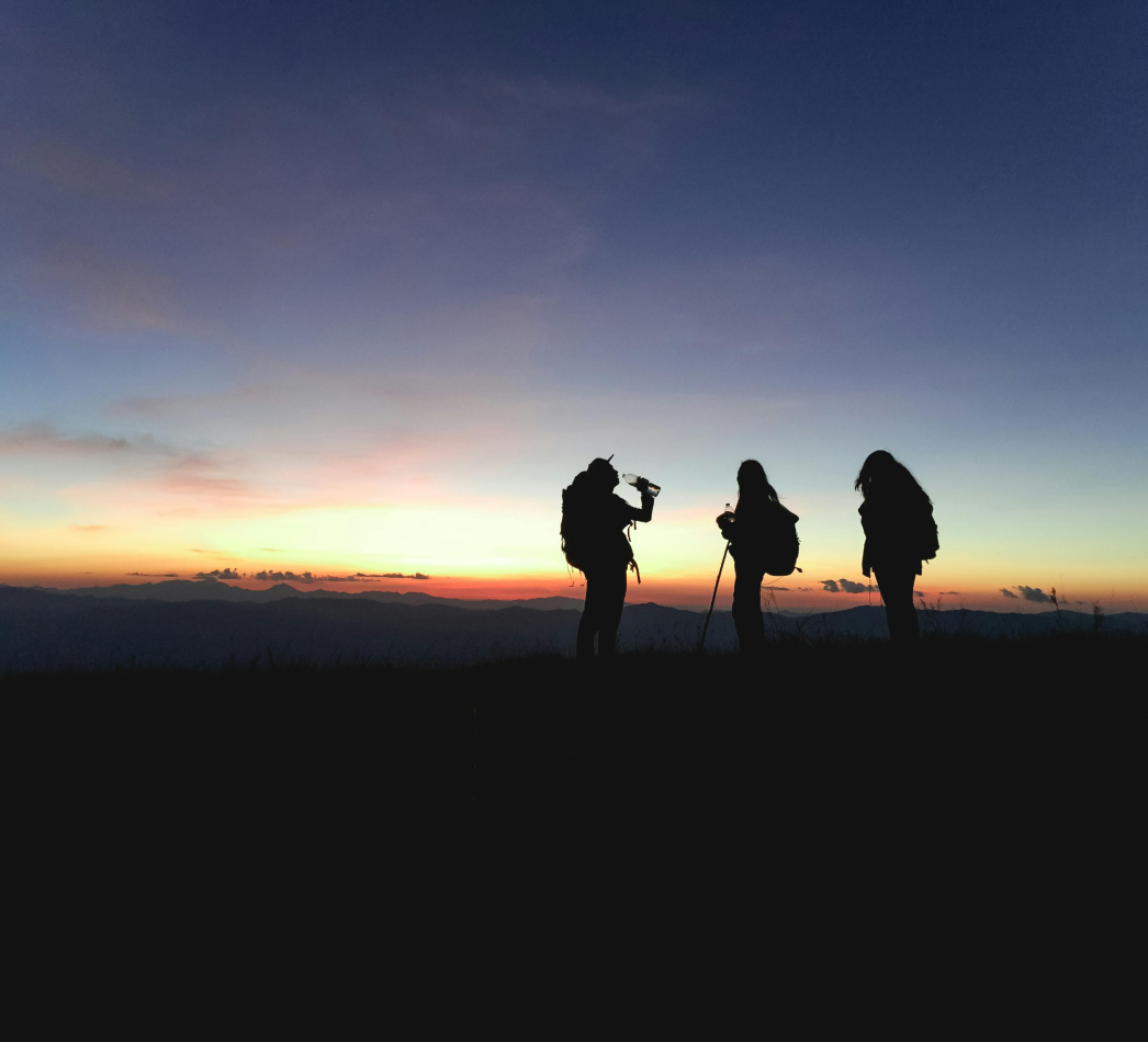 Real Estate SEO Services