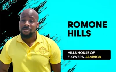 Top-Rated Website Development Agency - Romone Hills